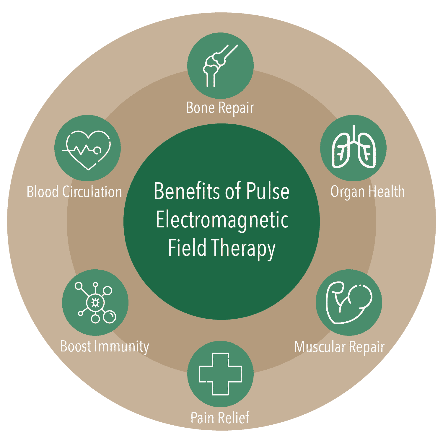 Pulsed Electromagnetic Field Therapy (PEMF) - Center for New Medicine