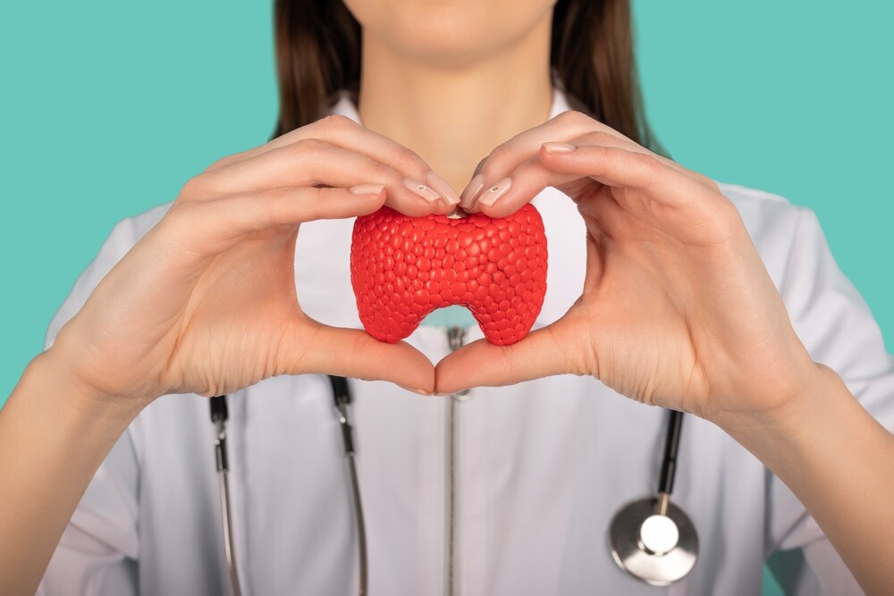 Female,Doctor,With,A,Stethoscope,Is,Holding,Mockup,Thyroid,Gland.